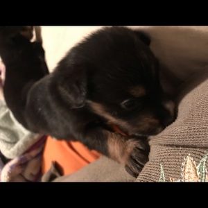 Offers offers offers Give me Some Offers!